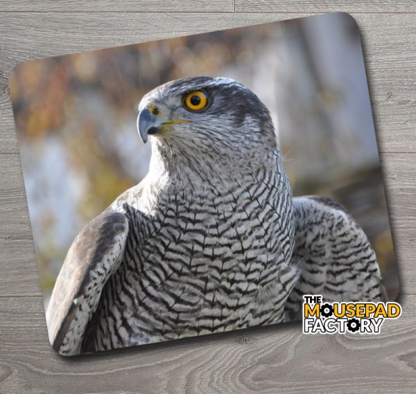 Goshawk Mouse Pad