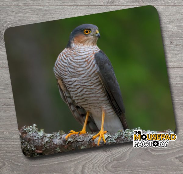 Sparrow Hawk Mouse Pad