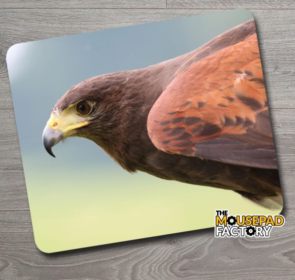 Harris Hawk Mouse Pad