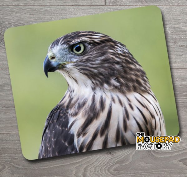 Coopers Hawk Mouse Pad
