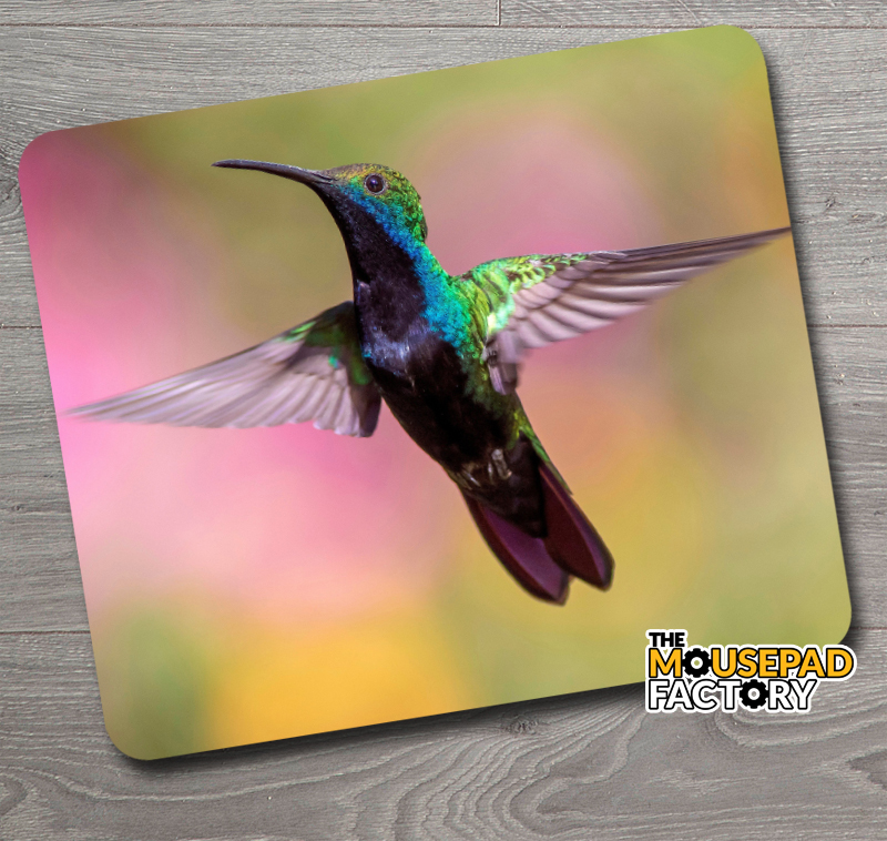 Purple-Green Hummingbird Hovering Mouse Pad - The Mousepad Factory