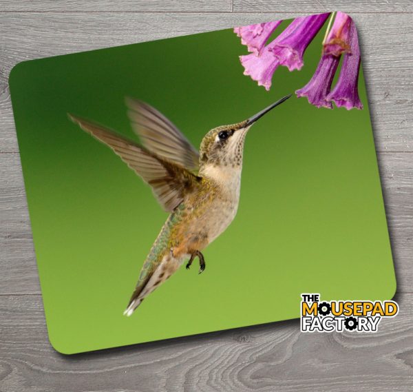 Female Hummingbird Feeding Mouse Pad