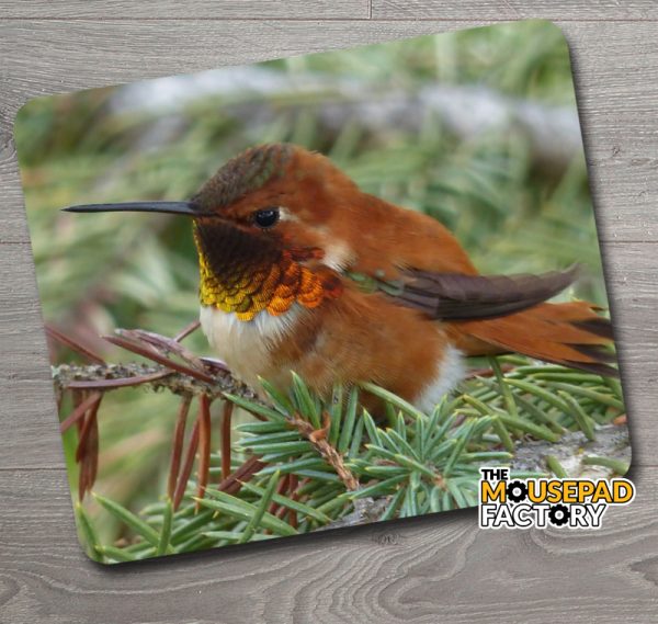 Rufous Hummingbird Mouse Pad