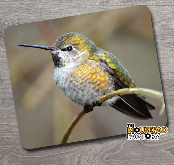 Annas Hummingbird Mouse Pad
