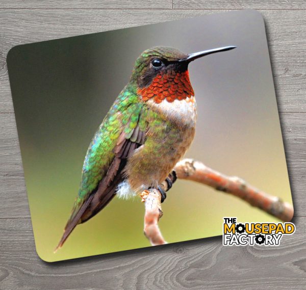 Ruby-throated Hummingbird Mouse Pad