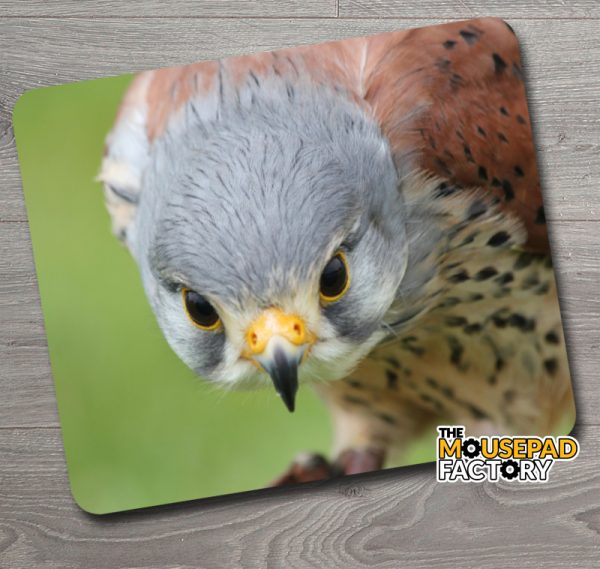 Common Kestrel Mouse Pad