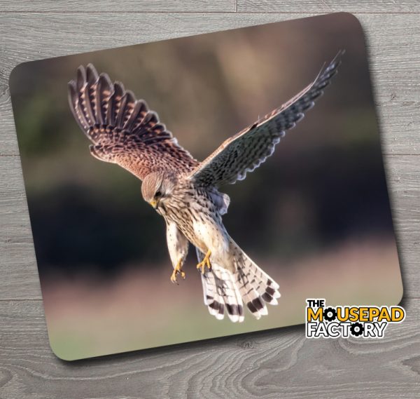 Common Kestrel in Flight Mouse Pad
