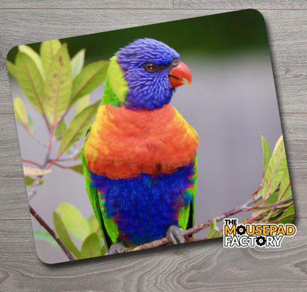 Rainbow Lorikeet Parrot Mouse Pad