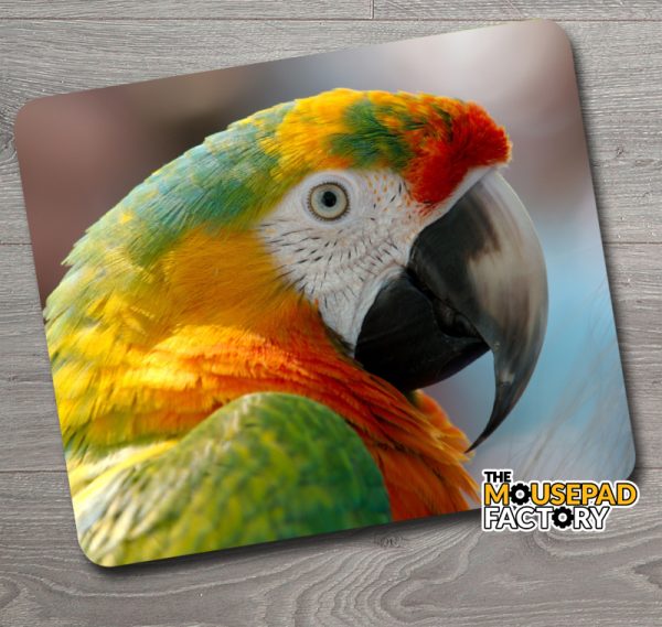 Rainbow Macaw Parrot Mouse Pad