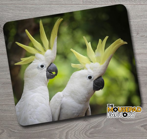 Sulphur Crested Cockatoos Mouse Pad