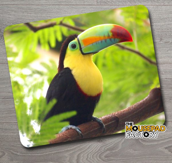 Keel-Billed Toucan Mouse Pad