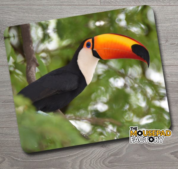 Toco Toucan Mouse Pad