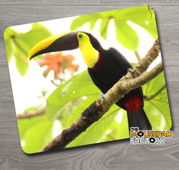 Choco Toucan Mouse Pad