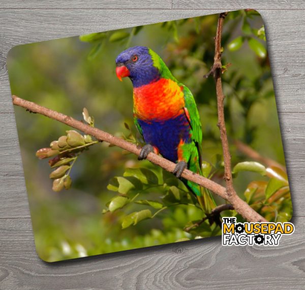 Rainbow Lorikeet Parrot Mouse Pad
