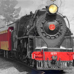 Trains