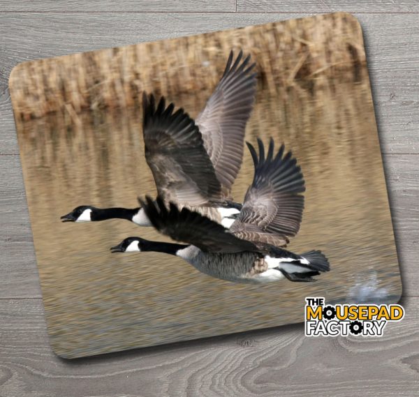 Canada Geese Flying Mouse Pad