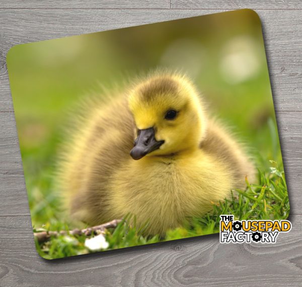 Cute Gosling Chick Mouse Pad
