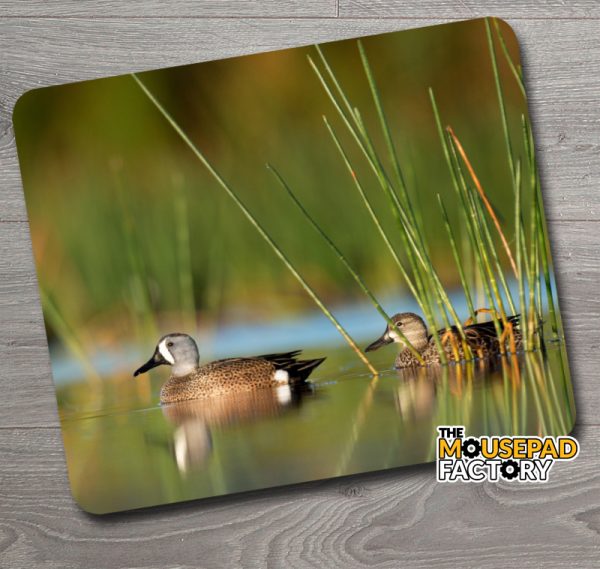 Blue-Winged Teal Duck Mouse Pad