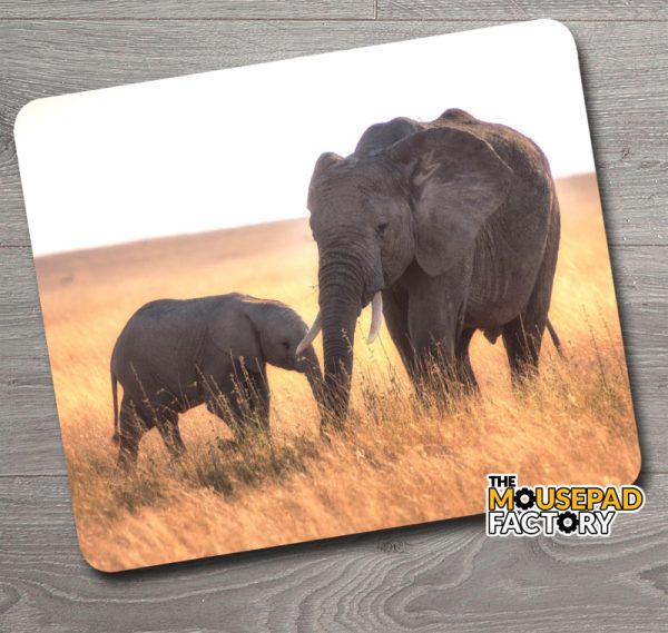 Baby Elephant & Mother Mouse Pad
