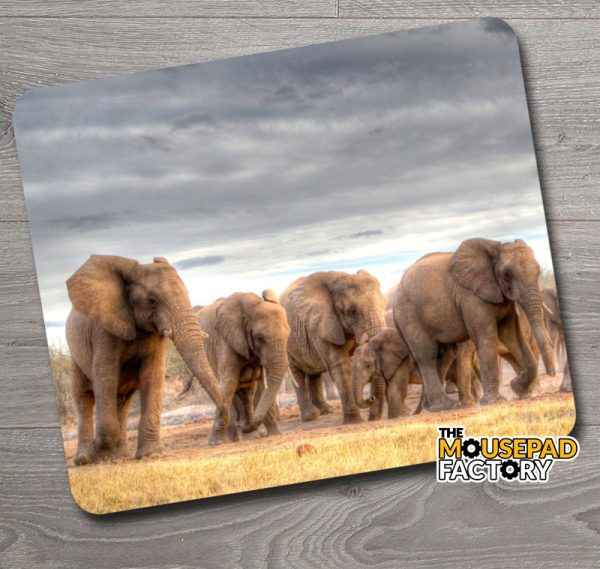 African Elephants Mouse Pad