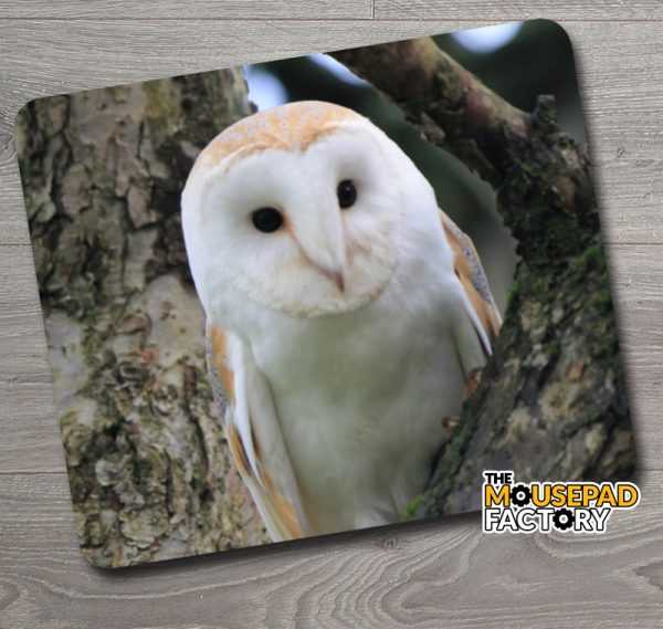Barn Owl Mouse Pad