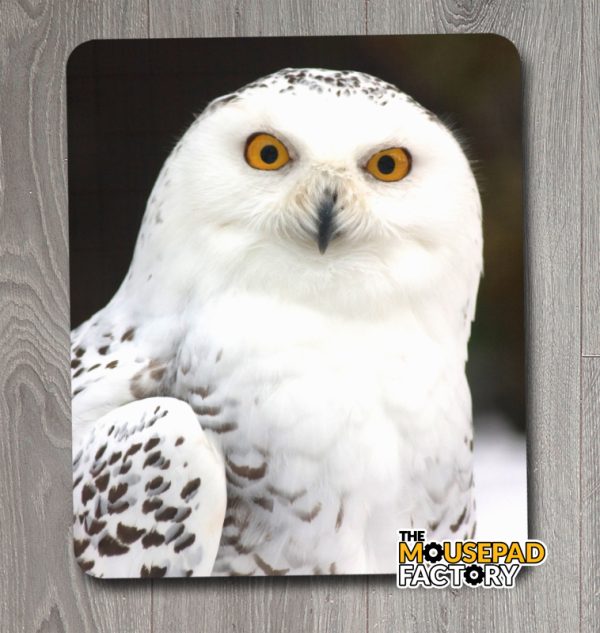 Snowy Owl Mouse Pad