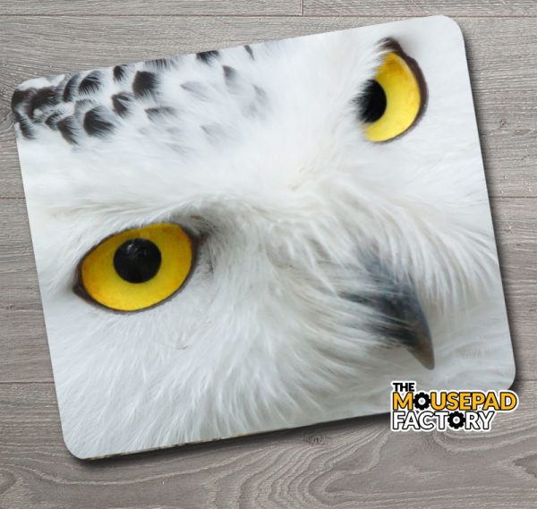 Snowy Owl Close-up Mouse Pad