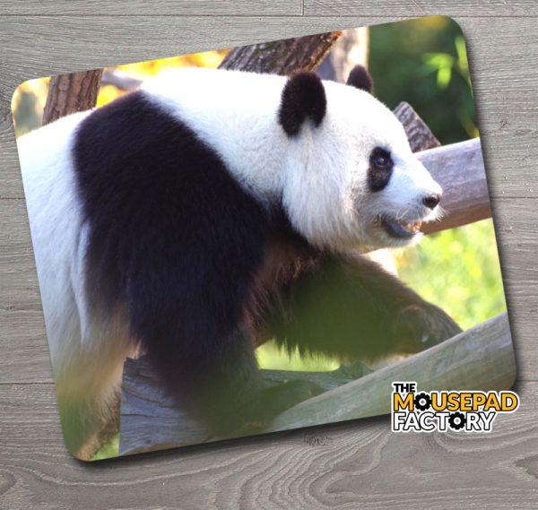 Panda Bear Mouse Pad