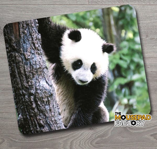 Cute Baby Panda Bear Mouse Pad