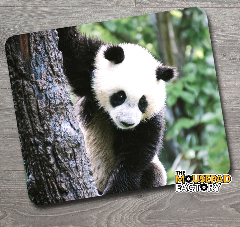 Cute Baby Panda Bear Mouse Pad - The Mousepad Factory