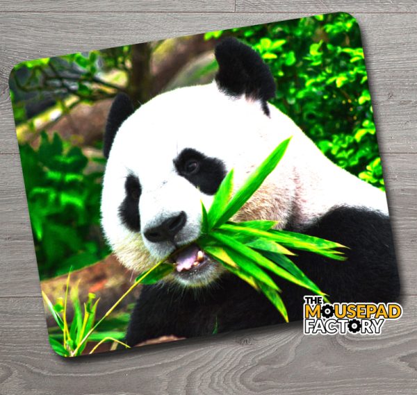 Great Panda Bear of China Mouse Pad