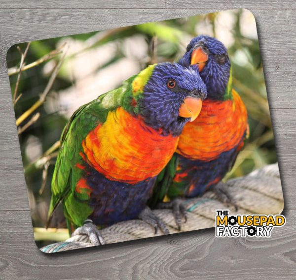 Rainbow Lorikeet Parrots Mouse Pad