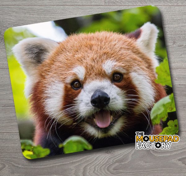 Cute Red Panda Mouse Pad