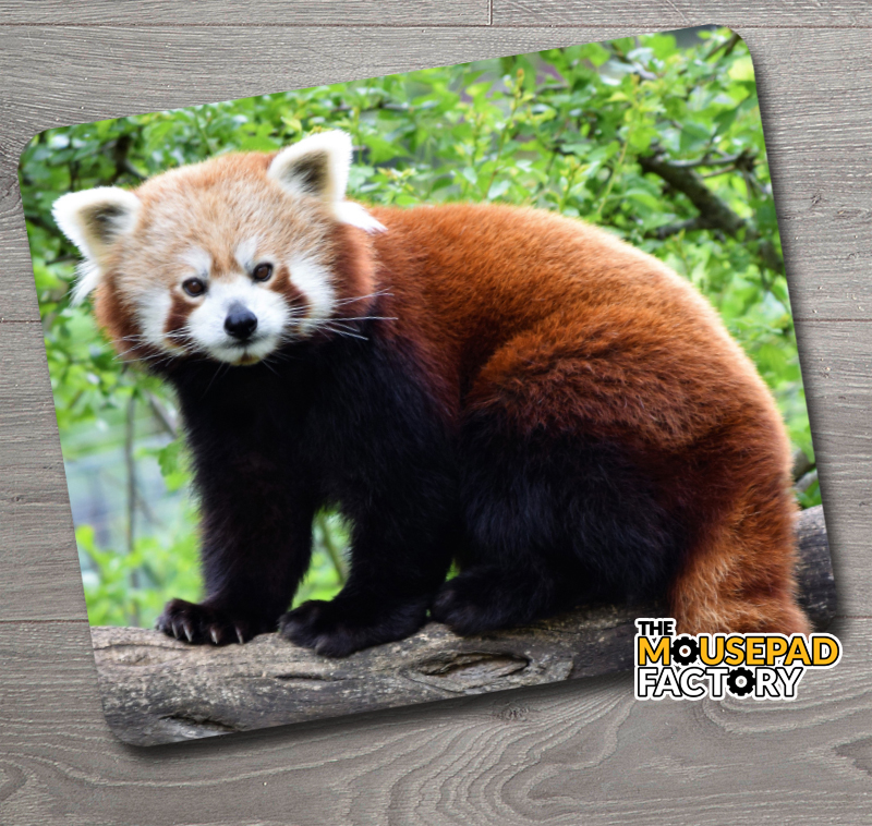 Red Panda Mouse Pad - The Mousepad Factory