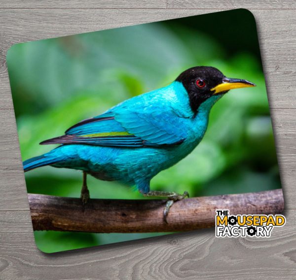 Honey Creeper Exotic Bird Mouse Pad