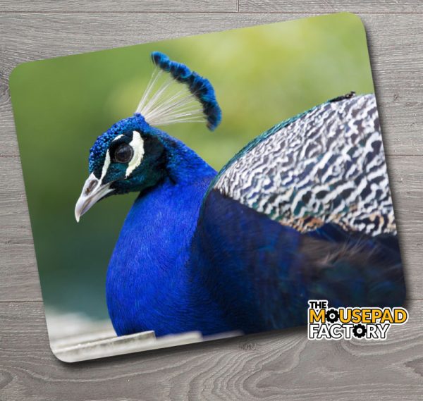 Peacock Exotic Bird Mouse Pad