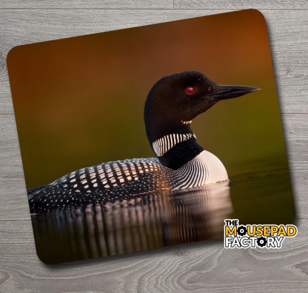 Loon in Fall Mouse Pad