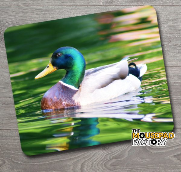 Mallard Duck Mouse Pad