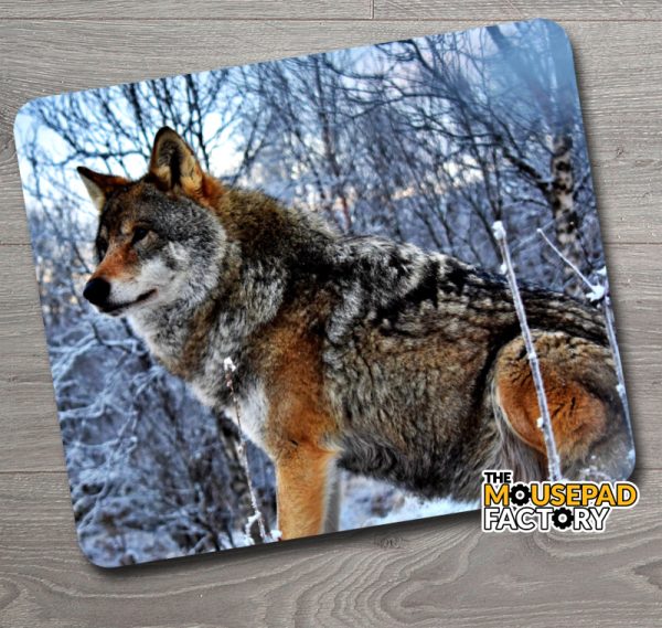 Wolf in Snowy Winter Woods Mouse Pad