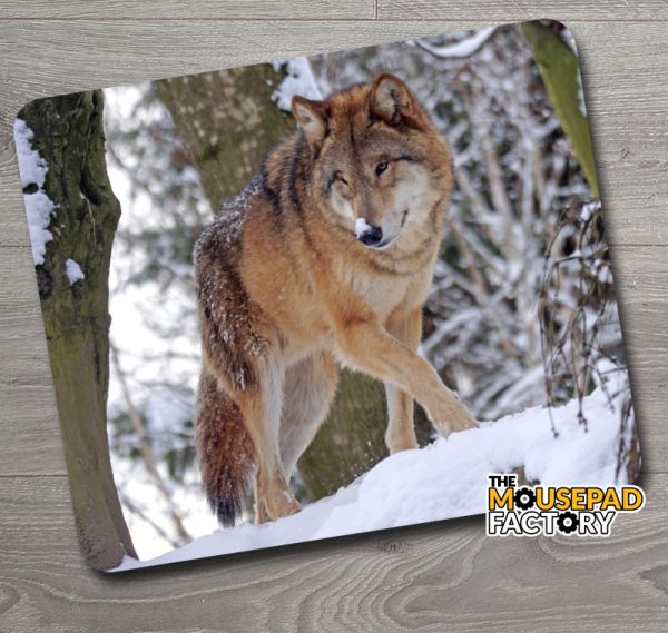 Timber Wolf Prowling Woods Mouse Pad
