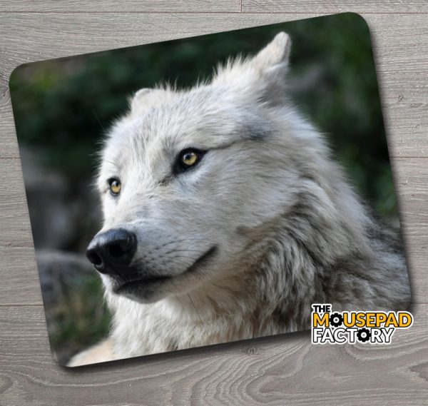 White Arctic Wolf Mouse Pad