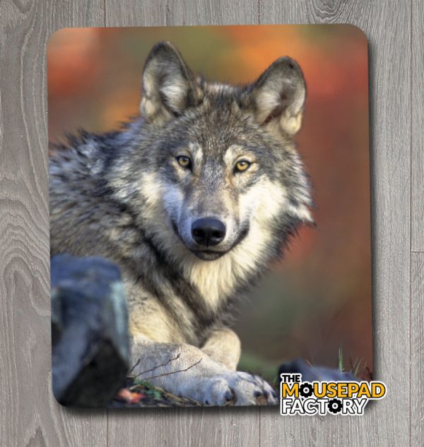 Beautiful Timber Wolf Mouse Pad