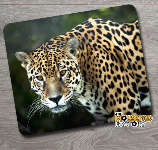 Jaguar Wild Cat Mouse Pad