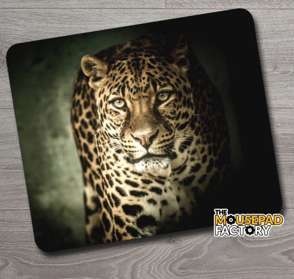 Jaguar in the Shadows Mouse Pad