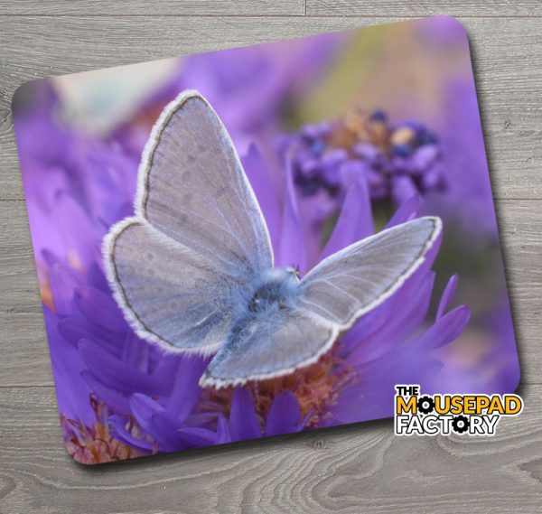 Common Blue Butterfly Mouse Pad