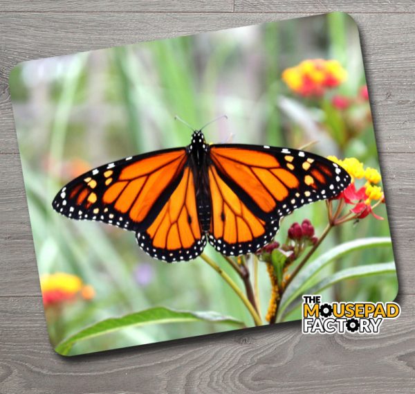 Monarch Butterfly Mouse Pad