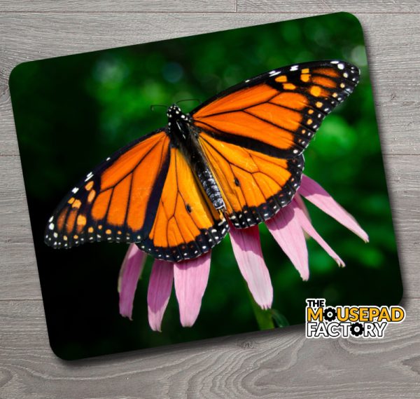 Monarch Butterfly on Echinacea Mouse Pad