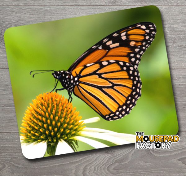 Monarch Butterfly Feeding Mouse Pad