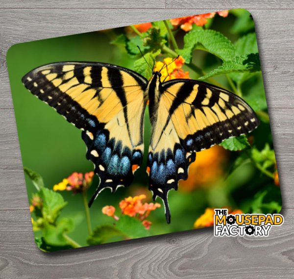 Tiger Swallowtail Butterfly Mouse Pad