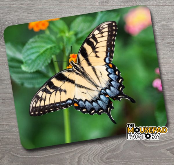 Western Tiger Swallowtail Butterfly Mouse Pad